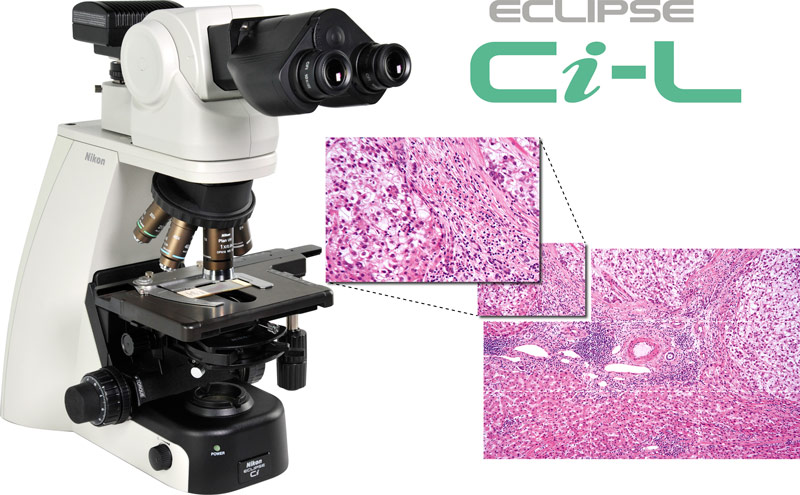 Eclipse Ci-L LED Microscope System